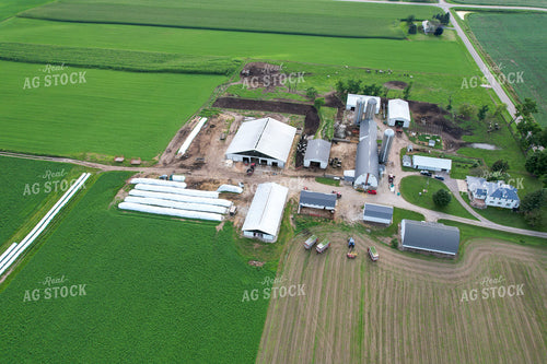 Aerial of Dairy Cattle Farm 261068