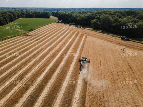 Aerial of Wheat Harvest 115316