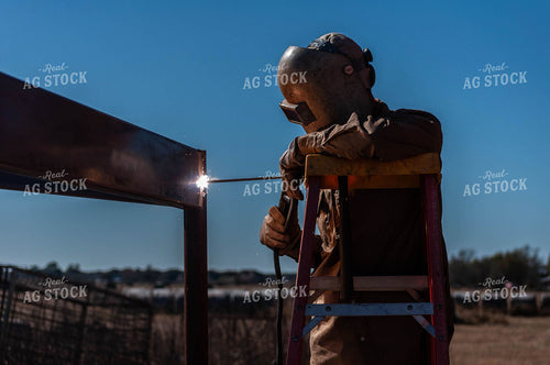 Welding on Cattle Gate 59042