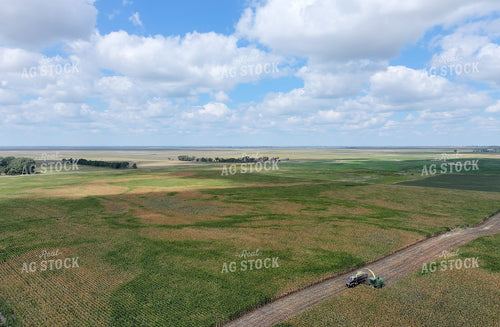 Aerial of Cutting Corn Silage 141733