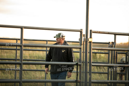 Farmer Working Cattle 285087