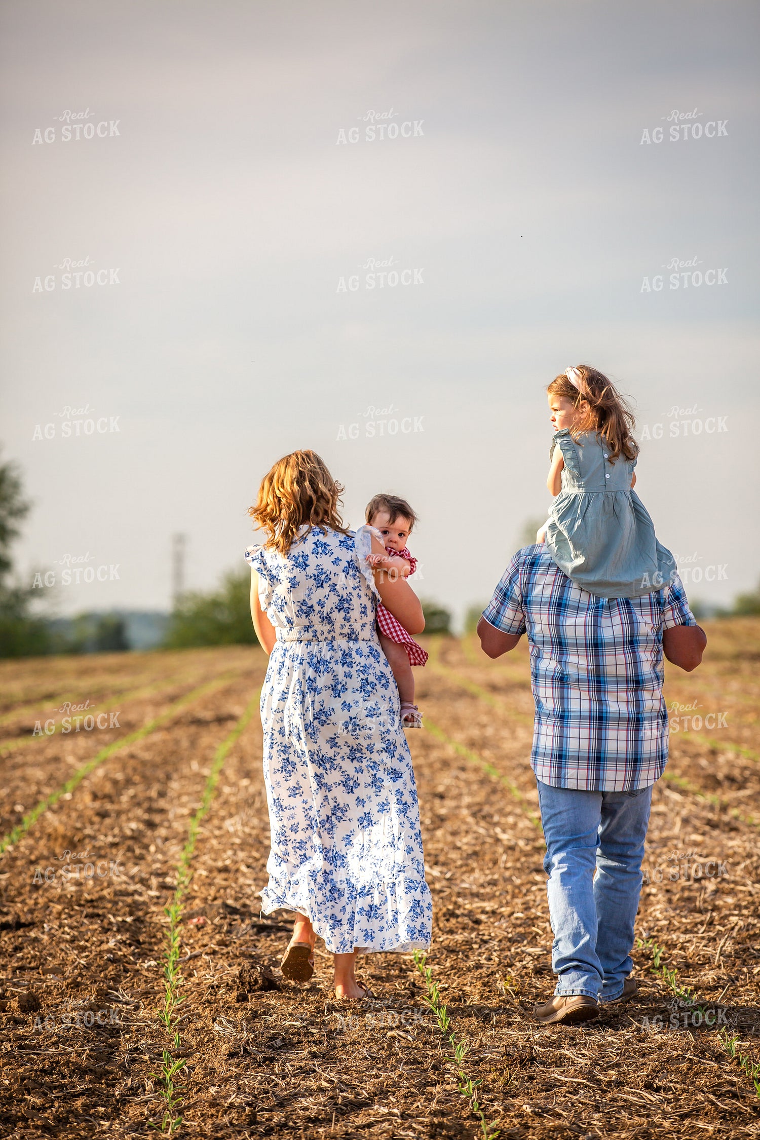 Farm Family Checking Corn 270017