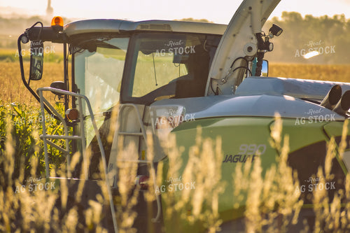 Harvesting Silage 148033