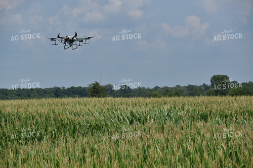 Drone Sprayer Above Corn 84092