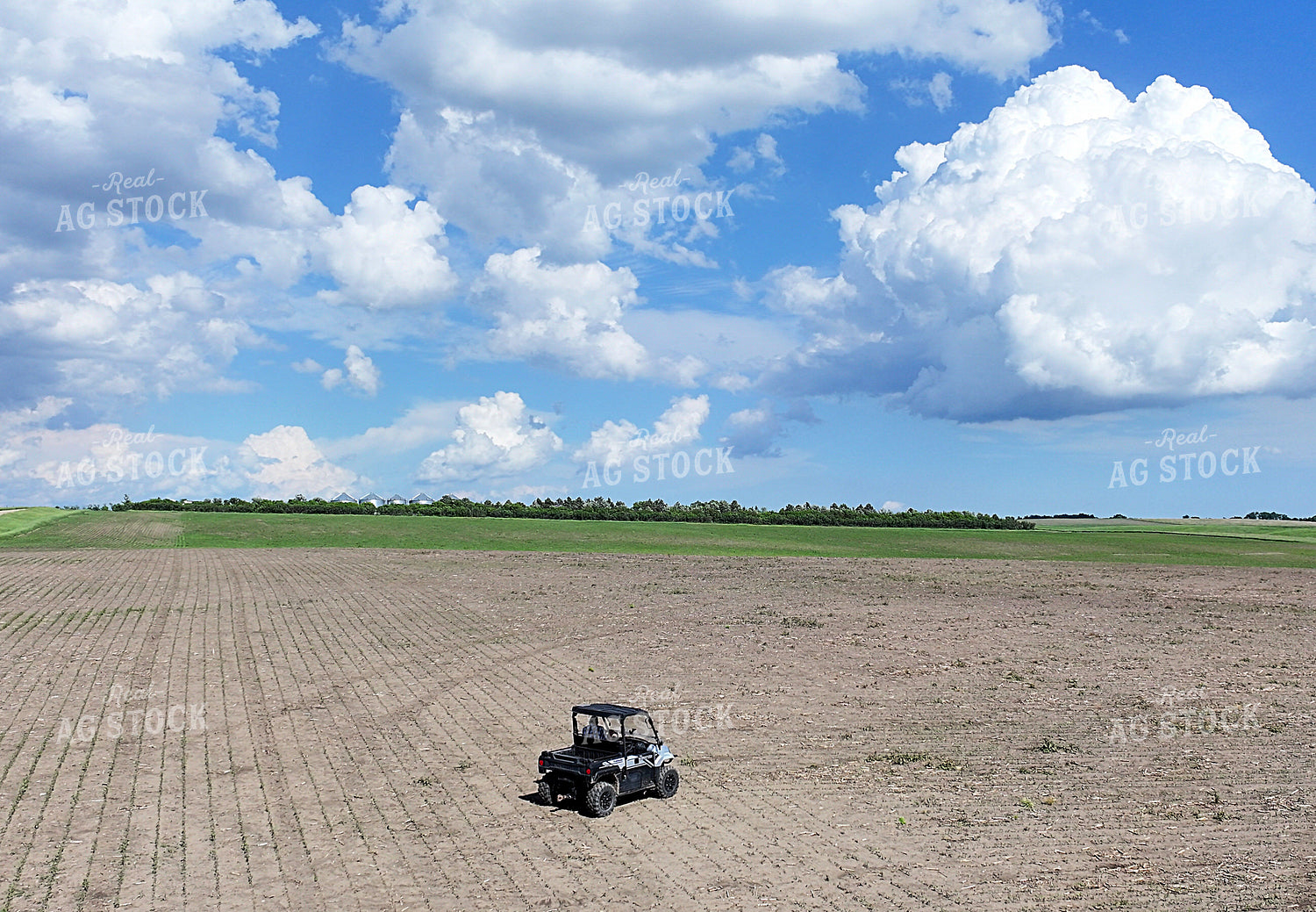 Checking Crops on Side by Side 141570