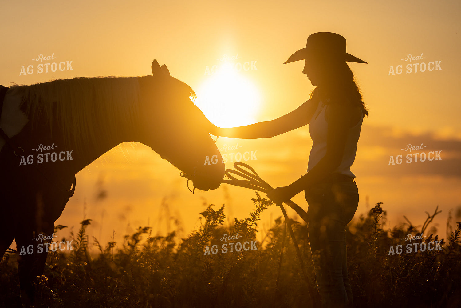 Cowgirl and Horse 250061