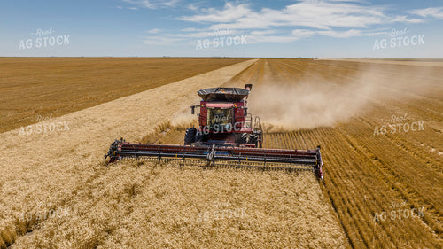 Wheat Harvest 199041