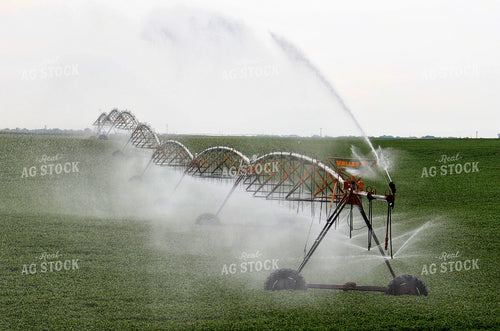 Irrigation 141685