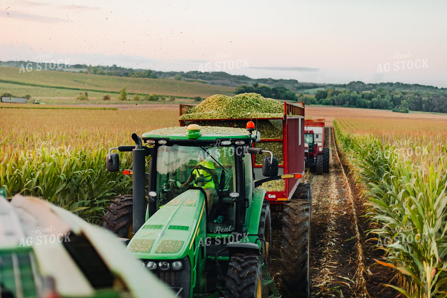 Corn Silage Harvest 272059