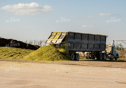 Storing Silage 185188