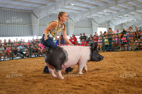 4H Kid Showing Pig 52203