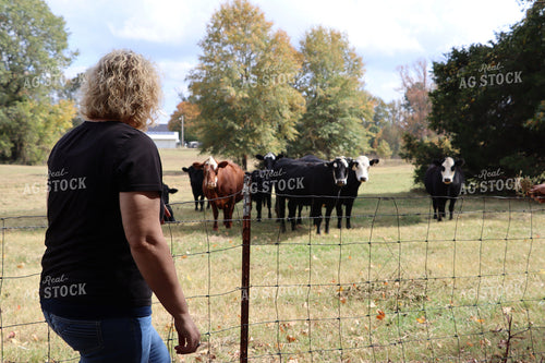 Farmer Looking at Cattle 201027