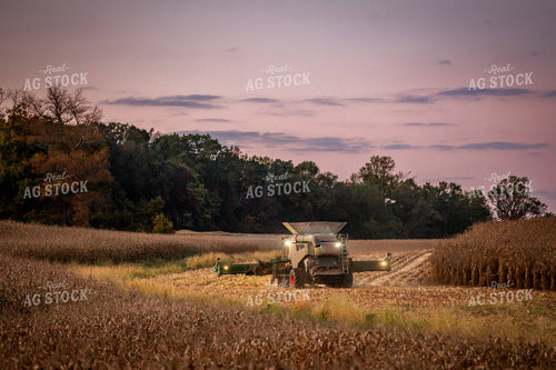 Corn Harvest 270634