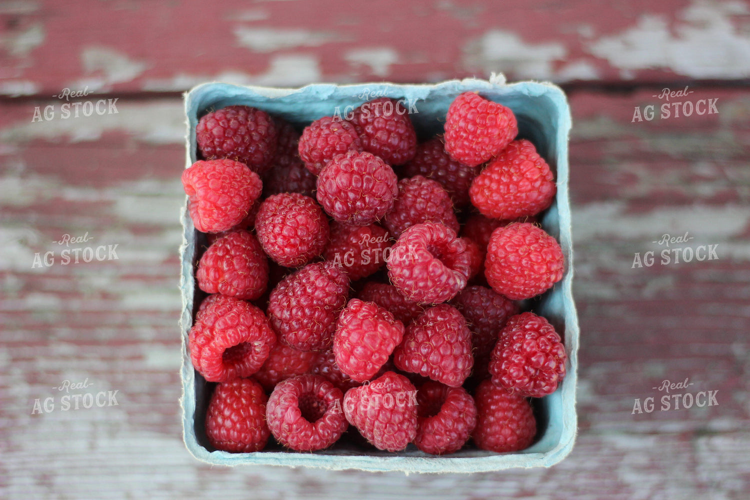 Raspberries 73035