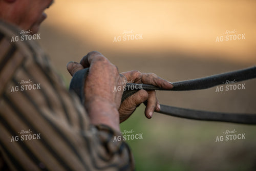 Farmer Holding Reins 76576