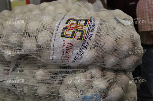 Packaged Onions 102085