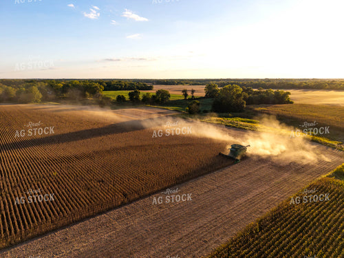 Soybean Harvest 115842