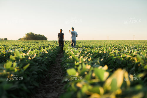 Agronomist and Farmer Scouting Soybean Field 6117