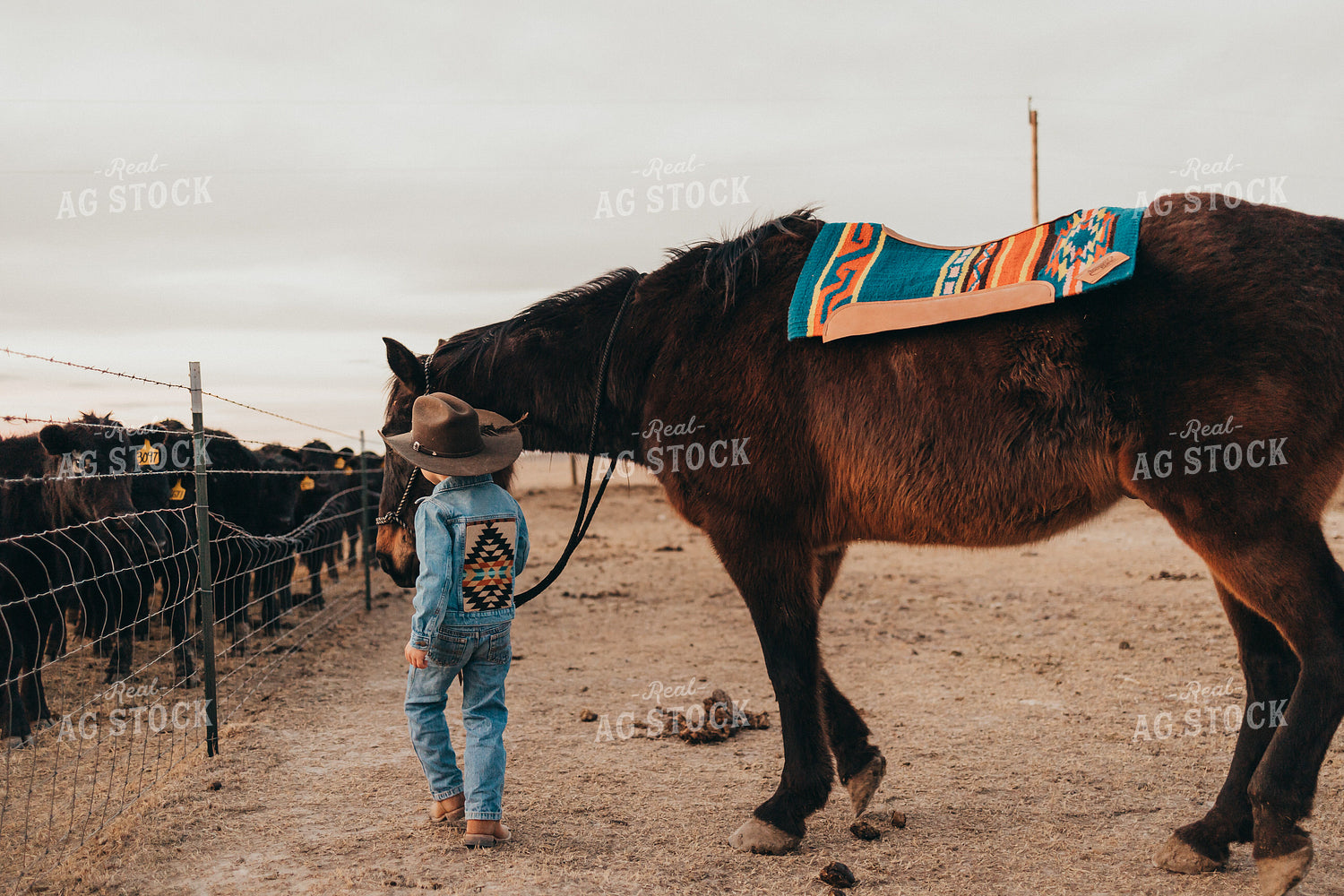 Farm Kid with Horse 61124