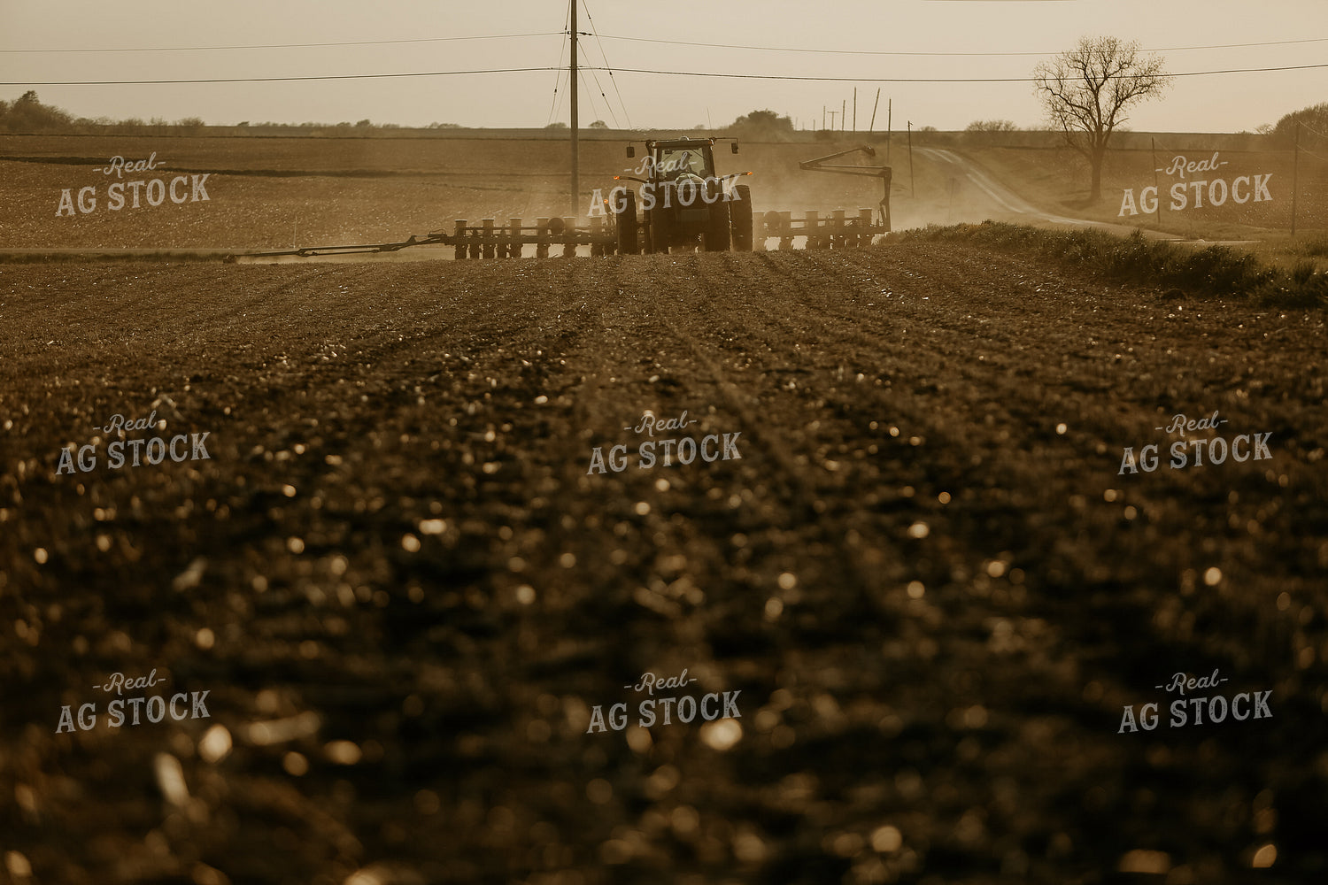 Planting 2854