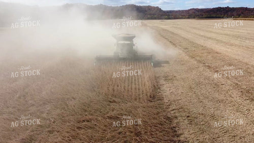 Soybean Harvest 52680