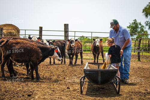 Farmer and Farm Kid Feeding Cattle 214159