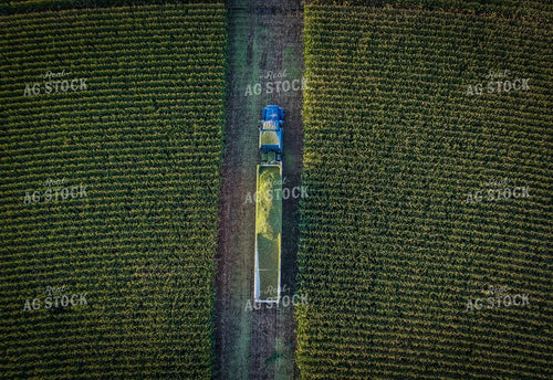 Silage Harvest Drone 56239