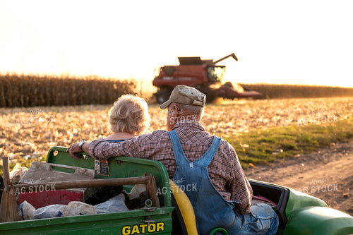 Seasoned Generation Watching Corn Harvest 115905