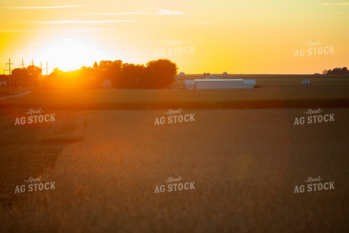 Soybeans - Dry 2495