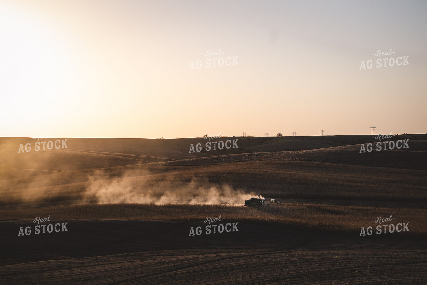 Harvest 196027