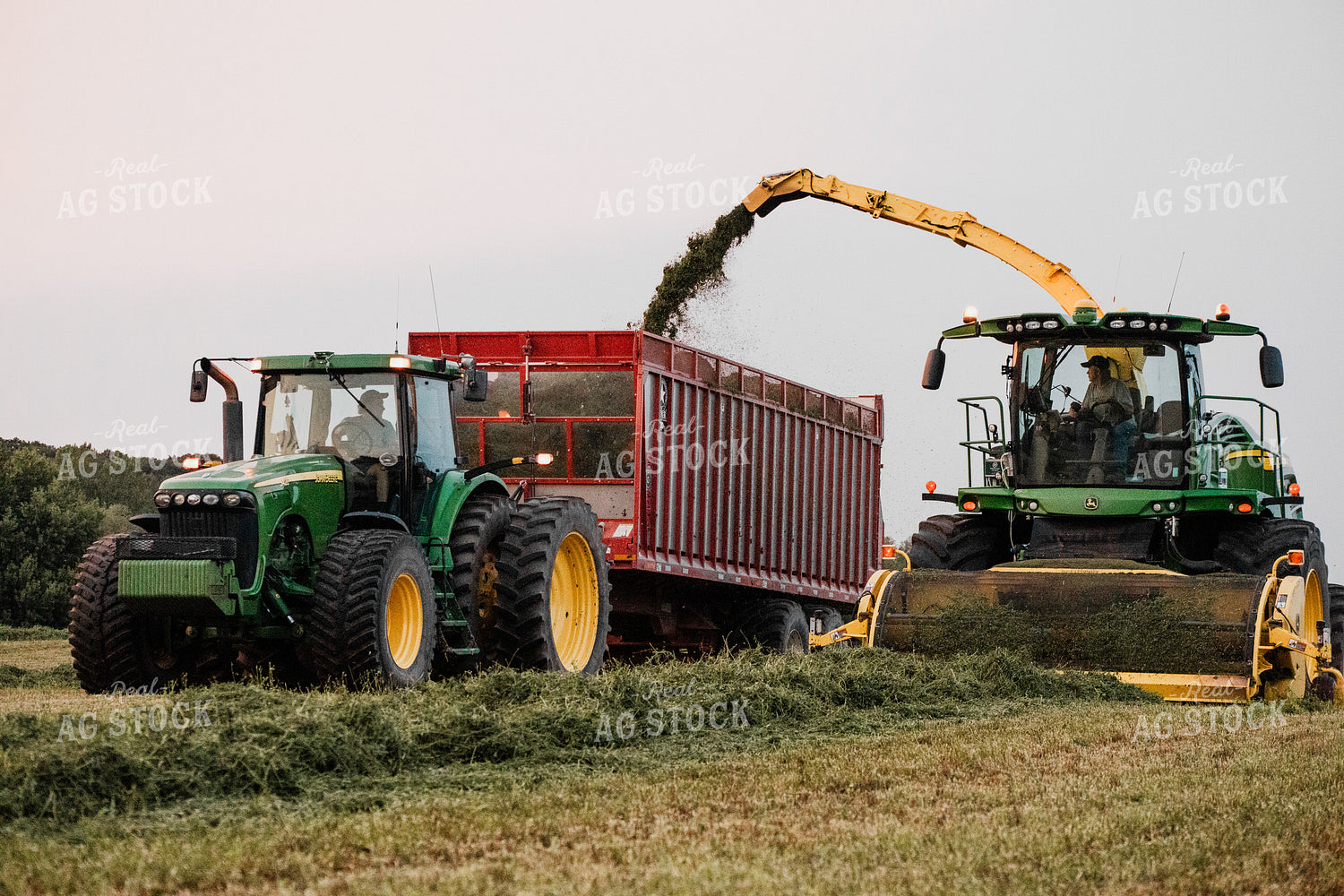 Haylage Harvest 272036