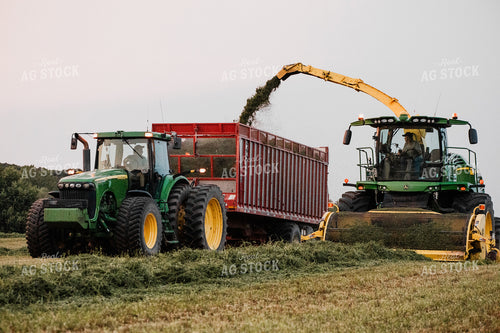 Haylage Harvest 272036