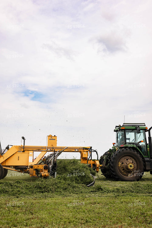 Merging Hay 152656