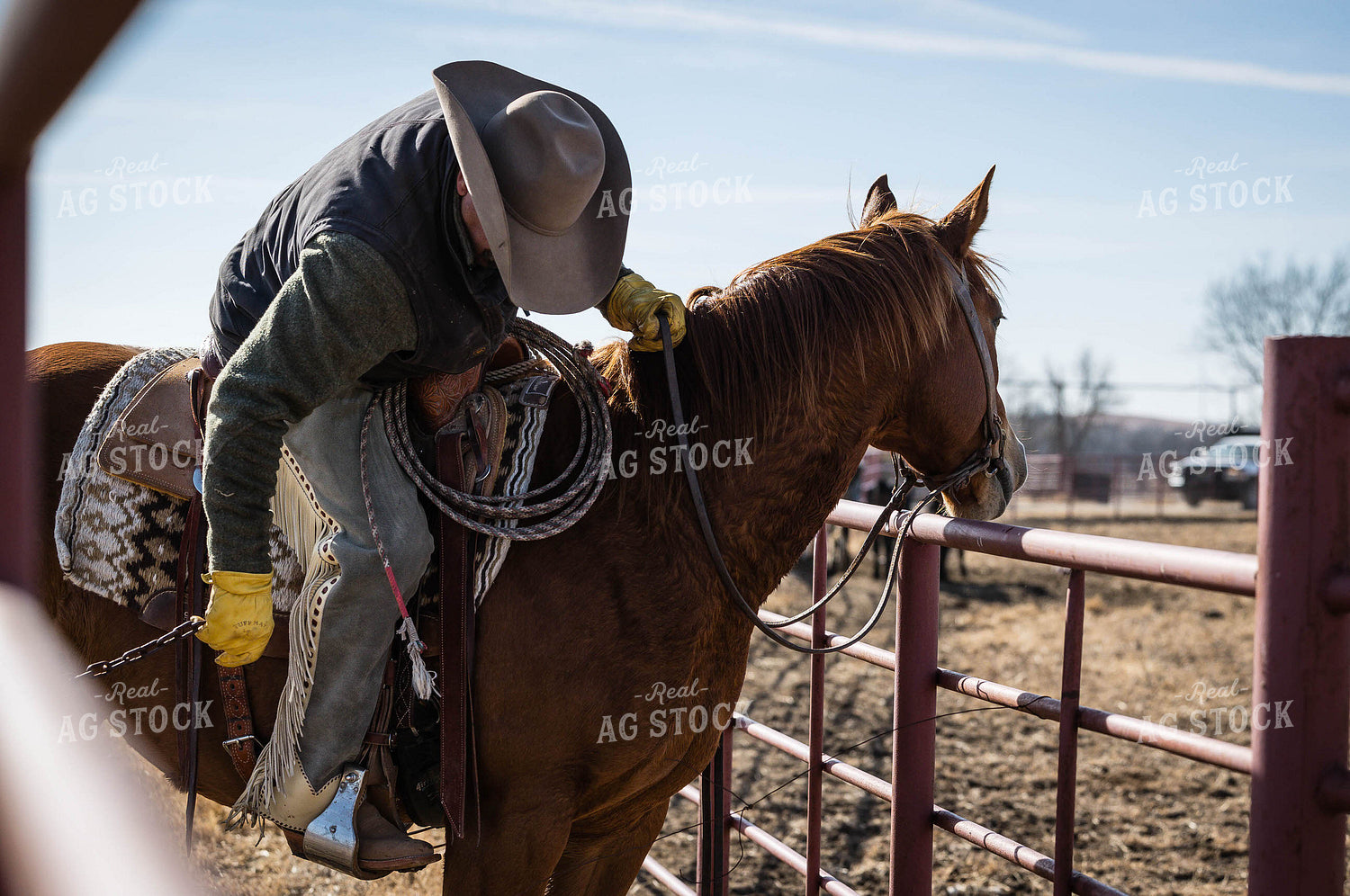Rancher on Horseback 219034