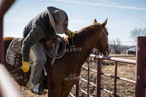 Rancher on Horseback 219034