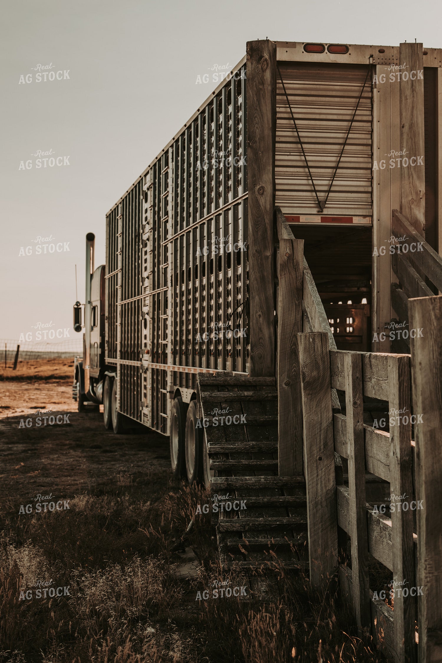 Loading Livestock Trailer 298004