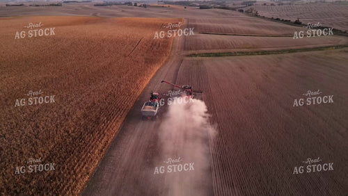 Aerial of Soybean Harvest 268043