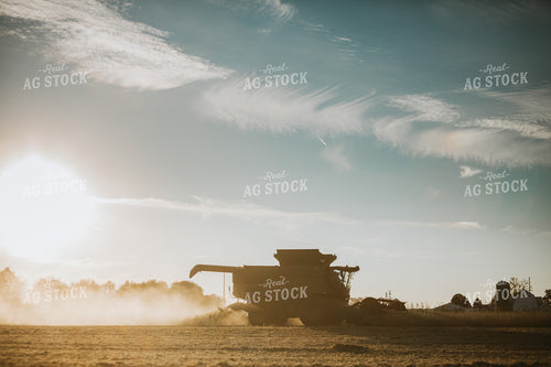 Combine Harvesting Soybeans 5083