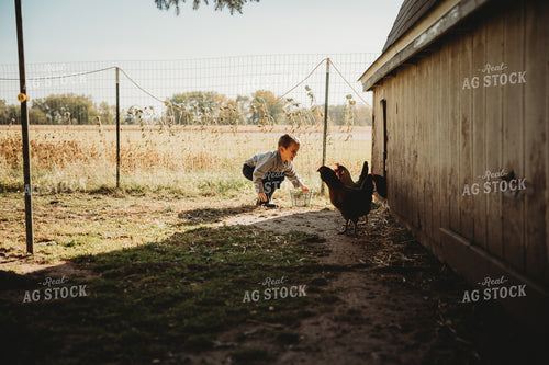 Farm Kid Collecting Eggs 6801