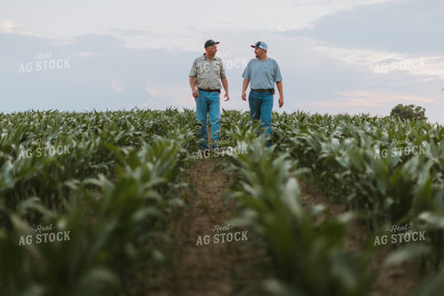 Farmers Scouting Corn Field 7814