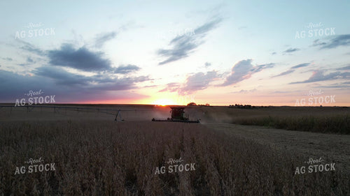 Corn Harvest 65473