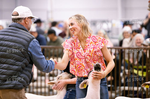 Showing Sheep 288030