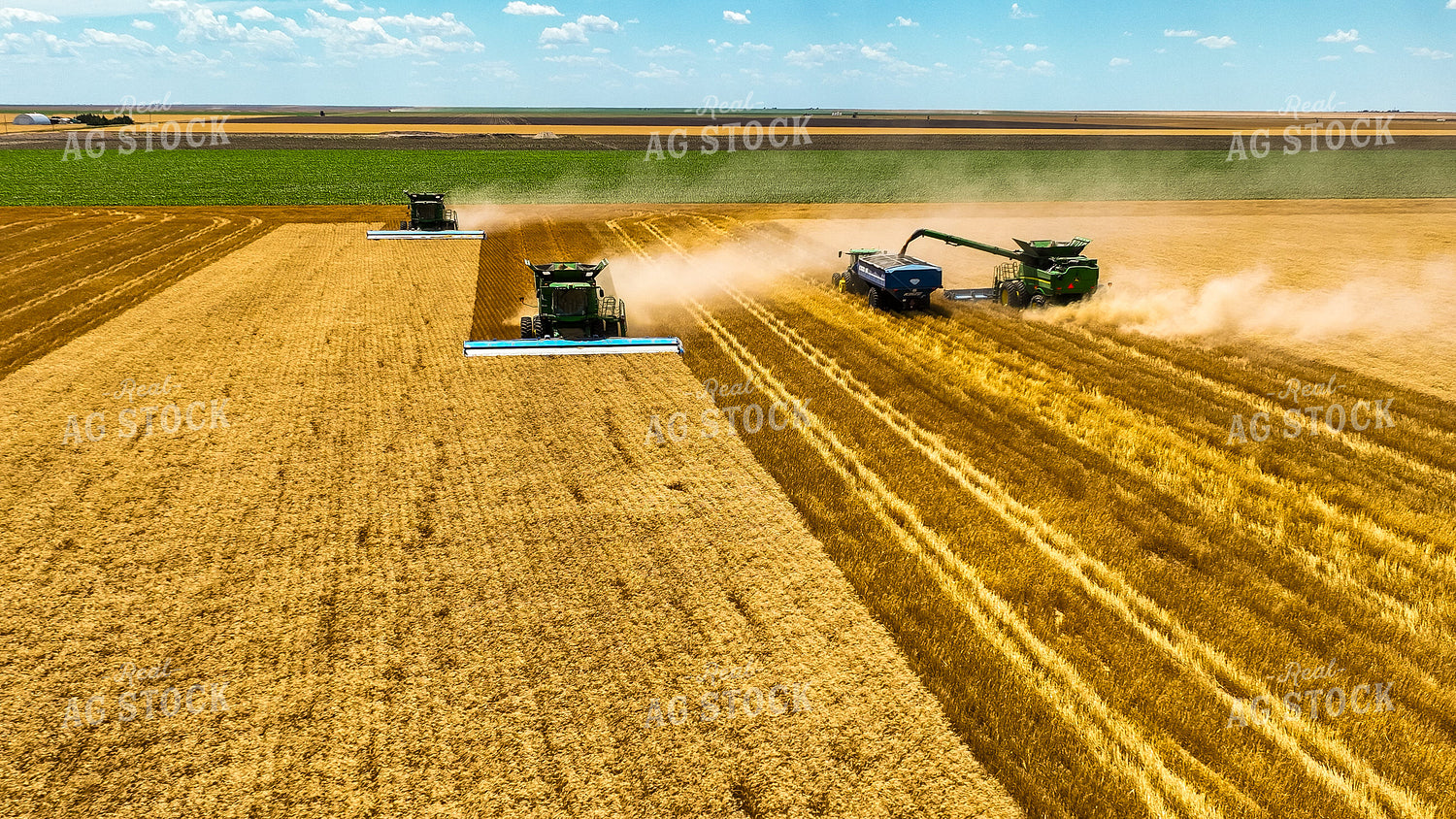 Wheat Harvest 199037