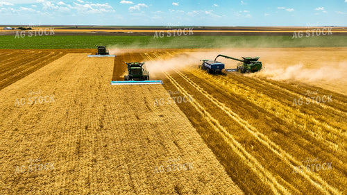 Wheat Harvest 199037