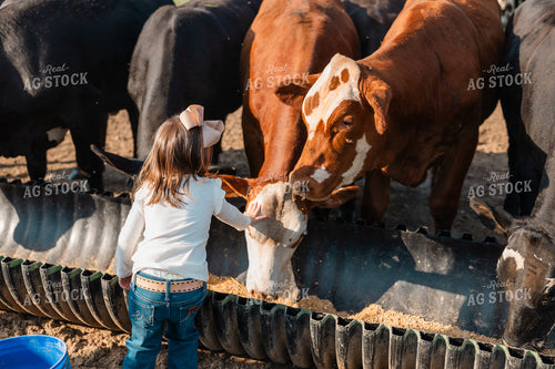 Farm Kid Feeding Cattle 256005