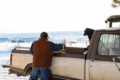 Rancher Feeding out Cattle 163039