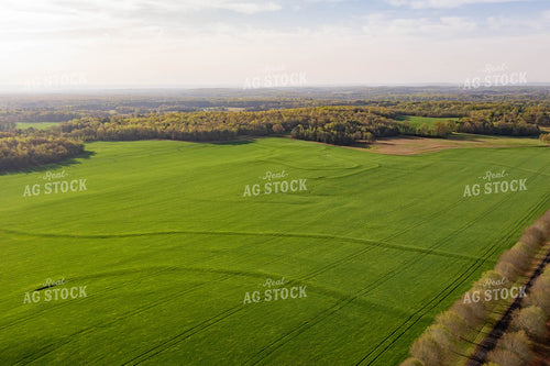 Aerial View of Farmland 79251