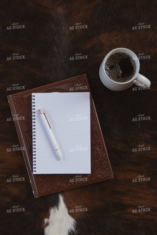 Office Stock 67902