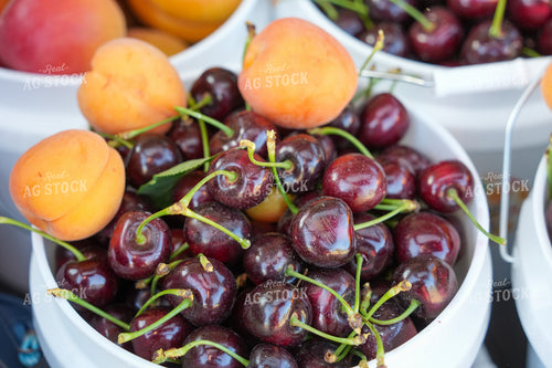 Cherries and Apricots 65792