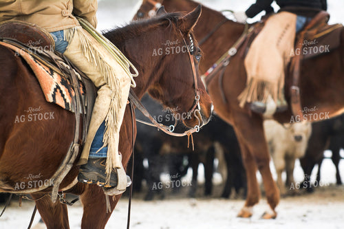 Ranchers on Horseback 69037